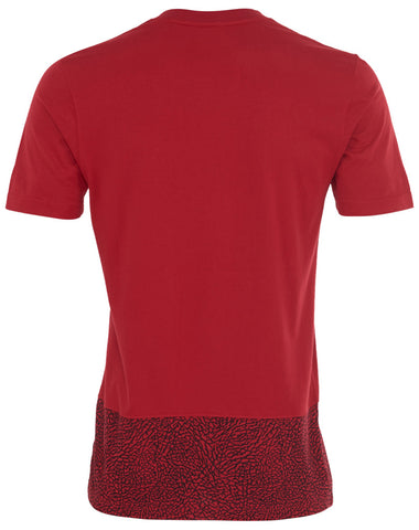 Jordan Core Panel T-shirt  Mens Style : 679345