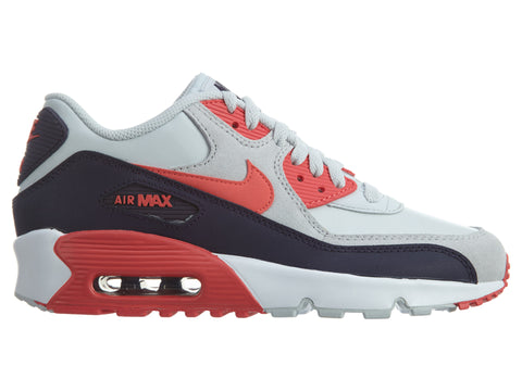 Nike Air Max 90 Ltr Big Kids Style : 833376