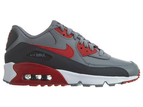 Nike Air Max 90 Ltr Big Kids Style : 833412