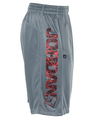 Jordan Go 23 Flight Pattern Basketball Shorts Mens Style : 652847