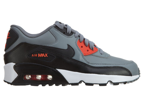 Nike Air Max 90 Ltr (Gs) Big Kids Style : 833412