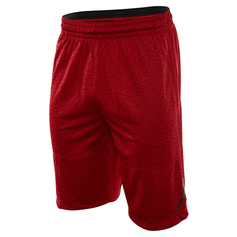 Jordan Jordan Ele Print Shorts Mens Style : 831372