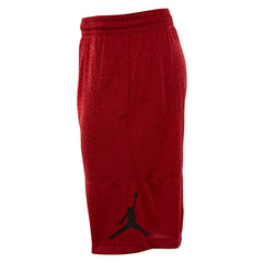 Jordan Jordan Ele Print Shorts Mens Style : 831372