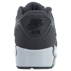 Nike Air Max 90 Ltr Little Kids Style : 833414
